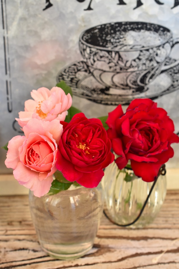 f:id:tangerinekun:20190729061645j:plain f:id:tangerinekun:20190729061645j:plain