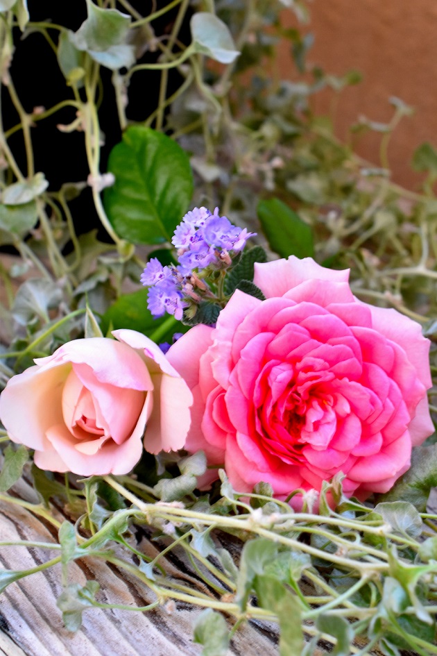 f:id:tangerinekun:20190729061905j:plain f:id:tangerinekun:20190729061905j:plain