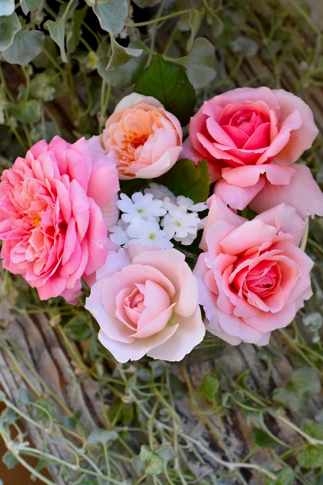 f:id:tangerinekun:20190802085140j:plain f:id:tangerinekun:20190802085140j:plain