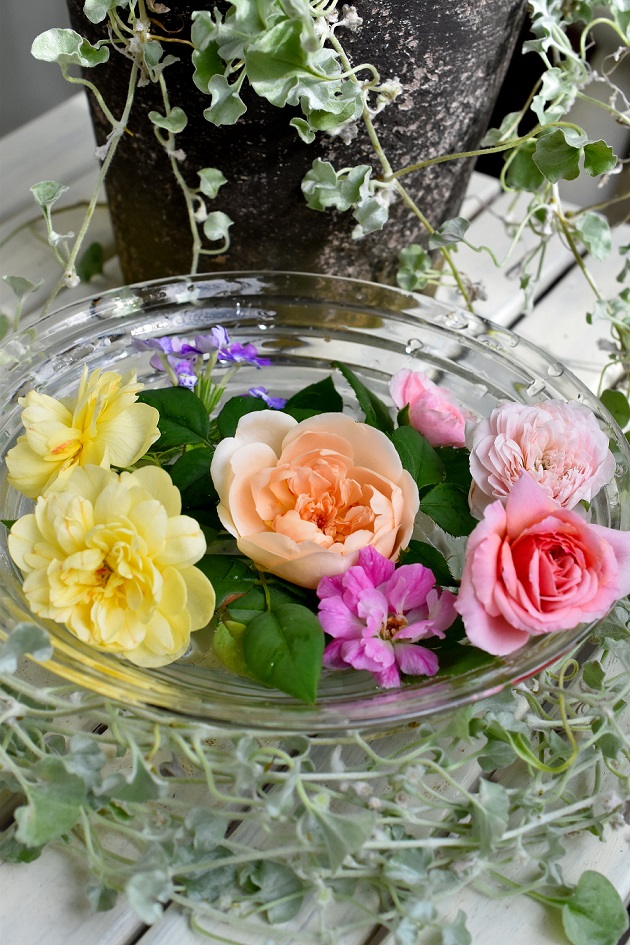 f:id:tangerinekun:20190827084742j:plain f:id:tangerinekun:20190827084742j:plain