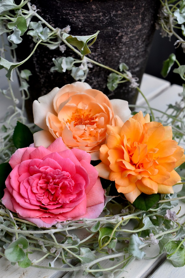 f:id:tangerinekun:20190827085009j:plain f:id:tangerinekun:20190827085009j:plain