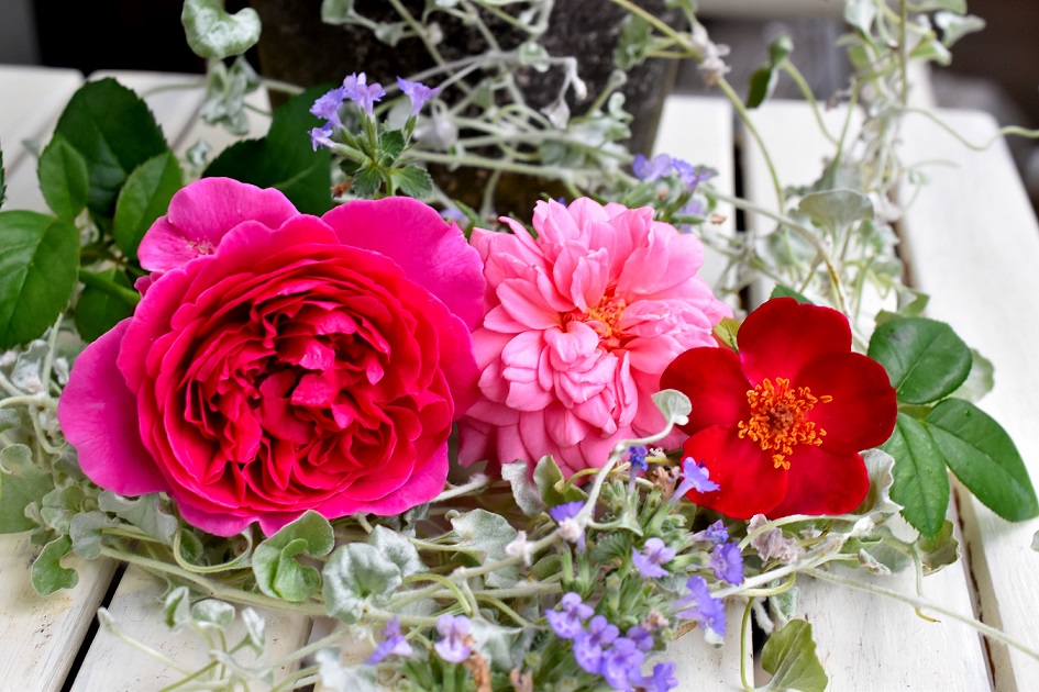 f:id:tangerinekun:20190827091159j:plain f:id:tangerinekun:20190827091159j:plain