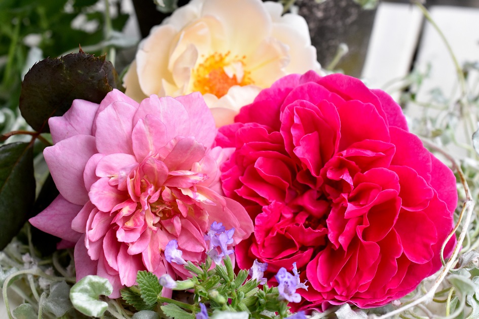 f:id:tangerinekun:20190828140841j:plain
