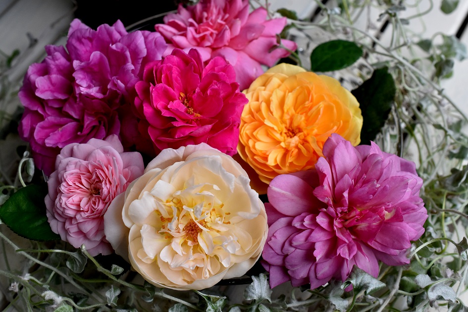 f:id:tangerinekun:20190902090844j:plain f:id:tangerinekun:20190902090844j:plain
