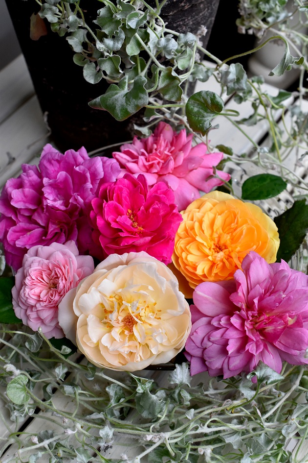 f:id:tangerinekun:20190902091117j:plain f:id:tangerinekun:20190902091117j:plain
