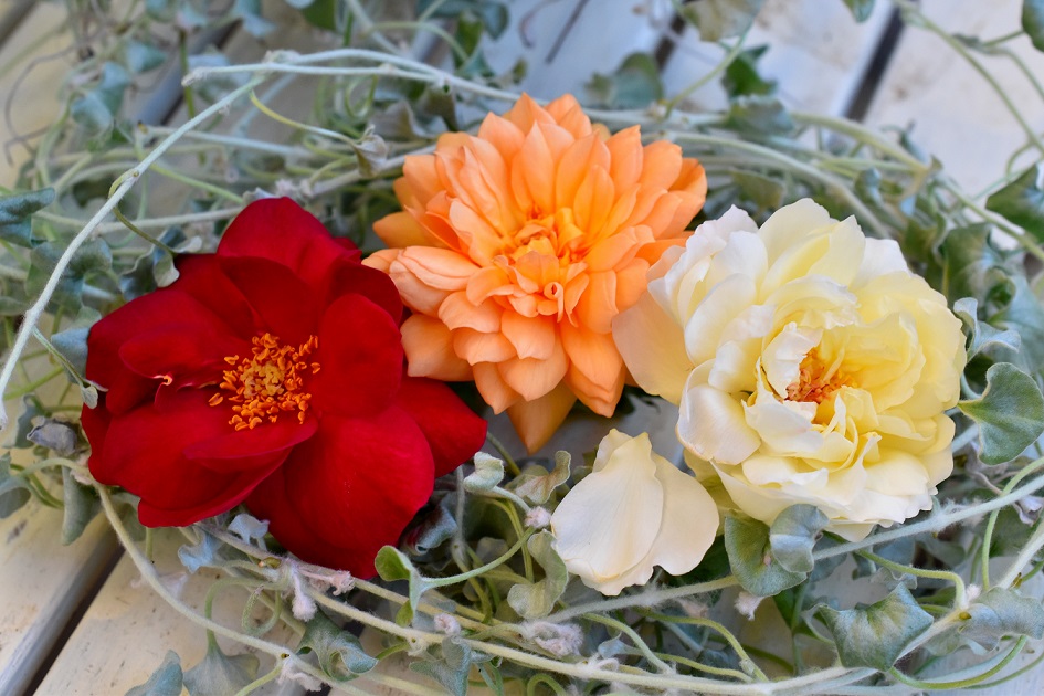 f:id:tangerinekun:20190916113120j:plain