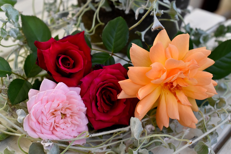 f:id:tangerinekun:20190916130524j:plain f:id:tangerinekun:20190916130524j:plain