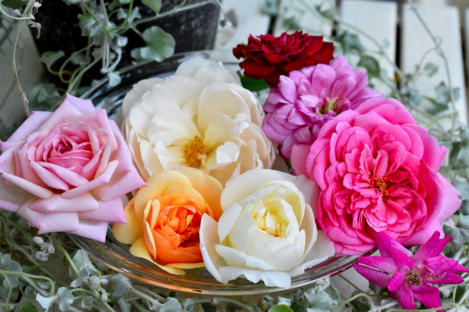 f:id:tangerinekun:20190916131604j:plain f:id:tangerinekun:20190916131604j:plain