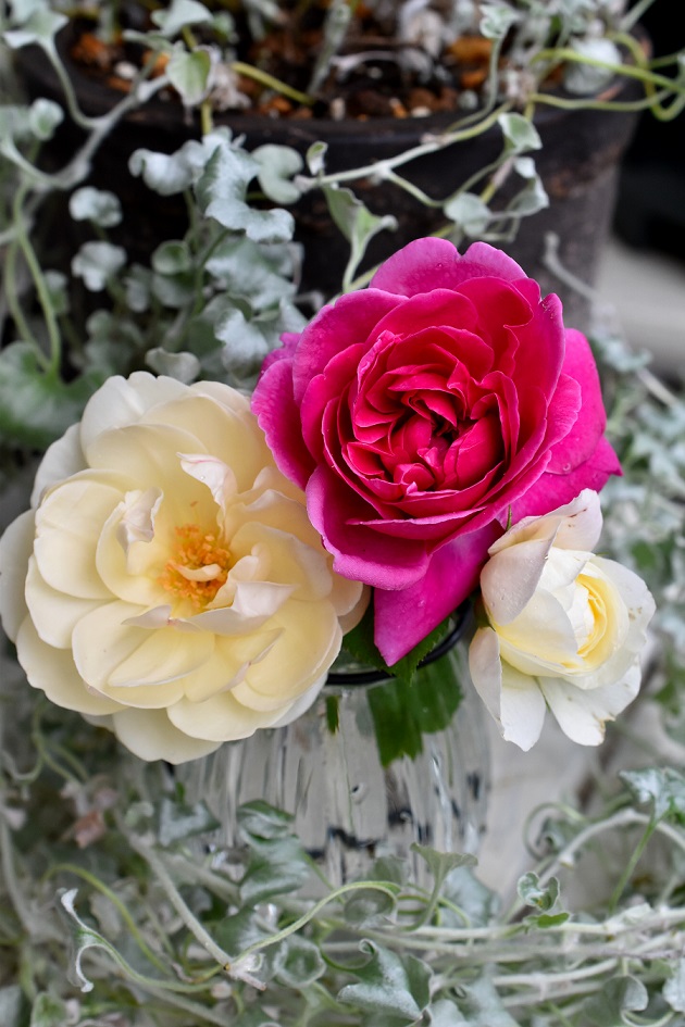 f:id:tangerinekun:20190926224456j:plain f:id:tangerinekun:20190926224456j:plain