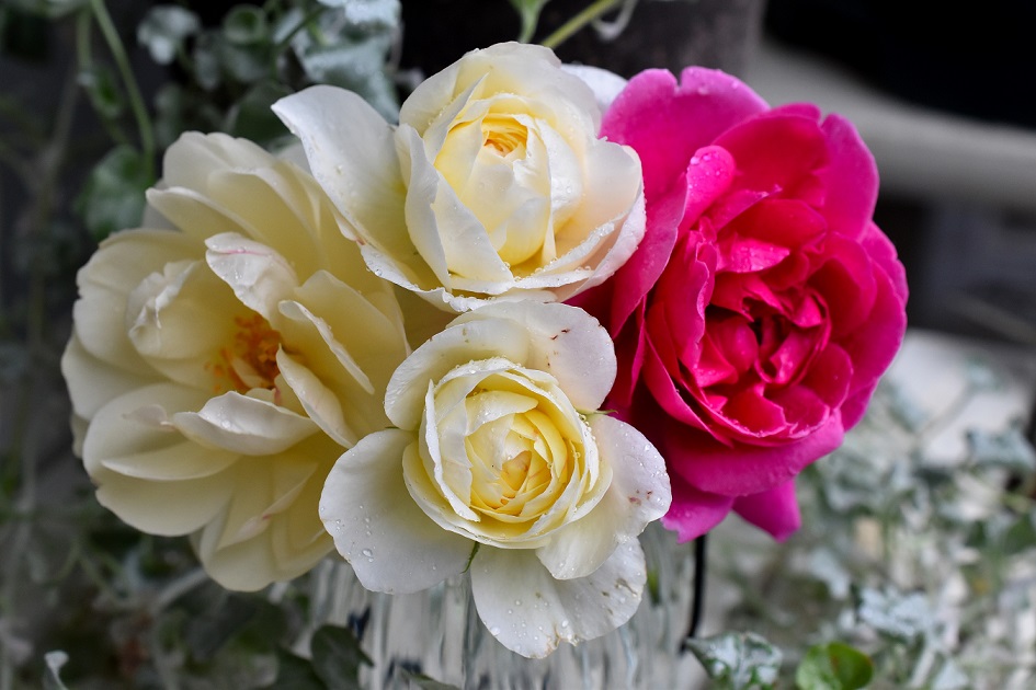 f:id:tangerinekun:20190926224850j:plain f:id:tangerinekun:20190926224850j:plain