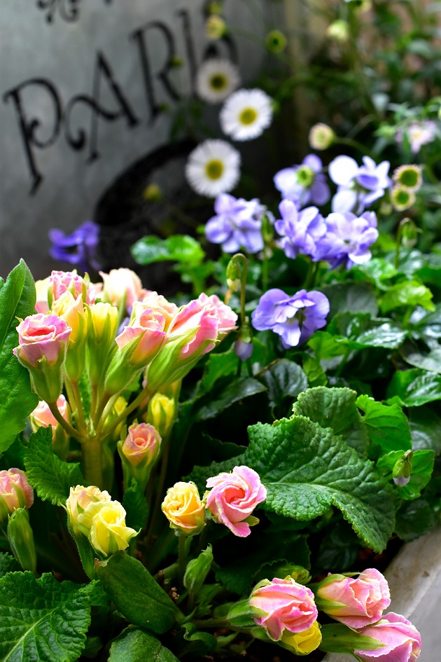 f:id:tangerinekun:20200326142606j:plain f:id:tangerinekun:20200326142606j:plain