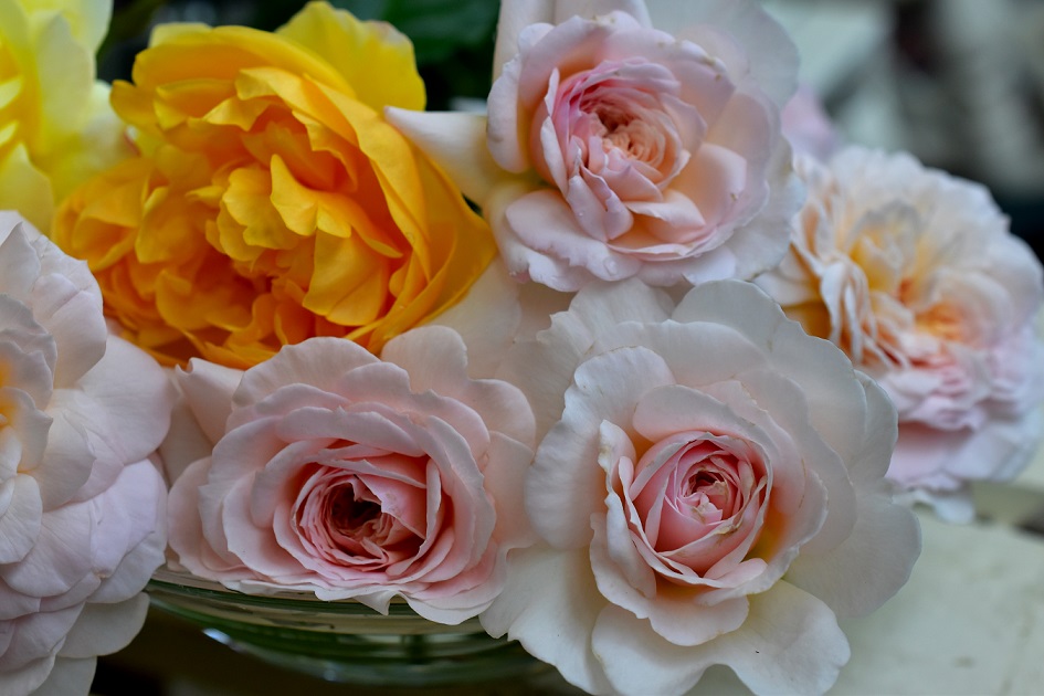 f:id:tangerinekun:20200607201307j:plain