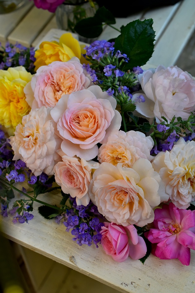 f:id:tangerinekun:20200608091054j:plain