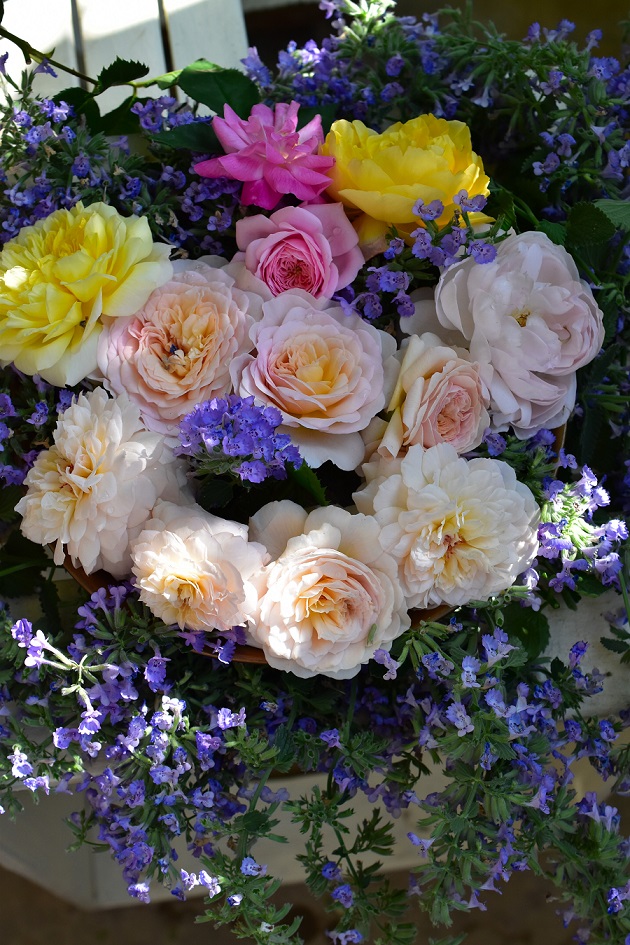 f:id:tangerinekun:20200608091353j:plain