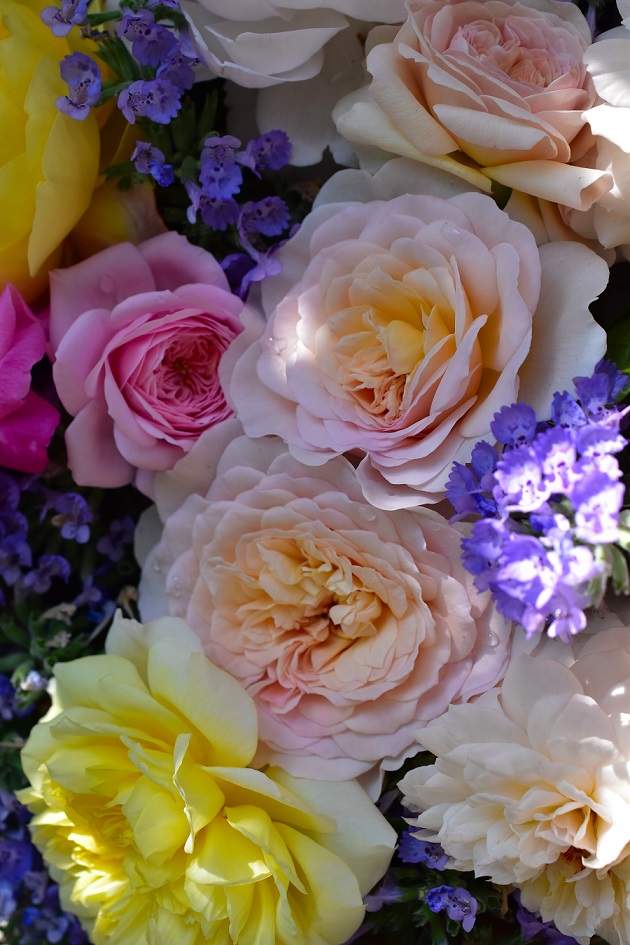 f:id:tangerinekun:20200608091446j:plain