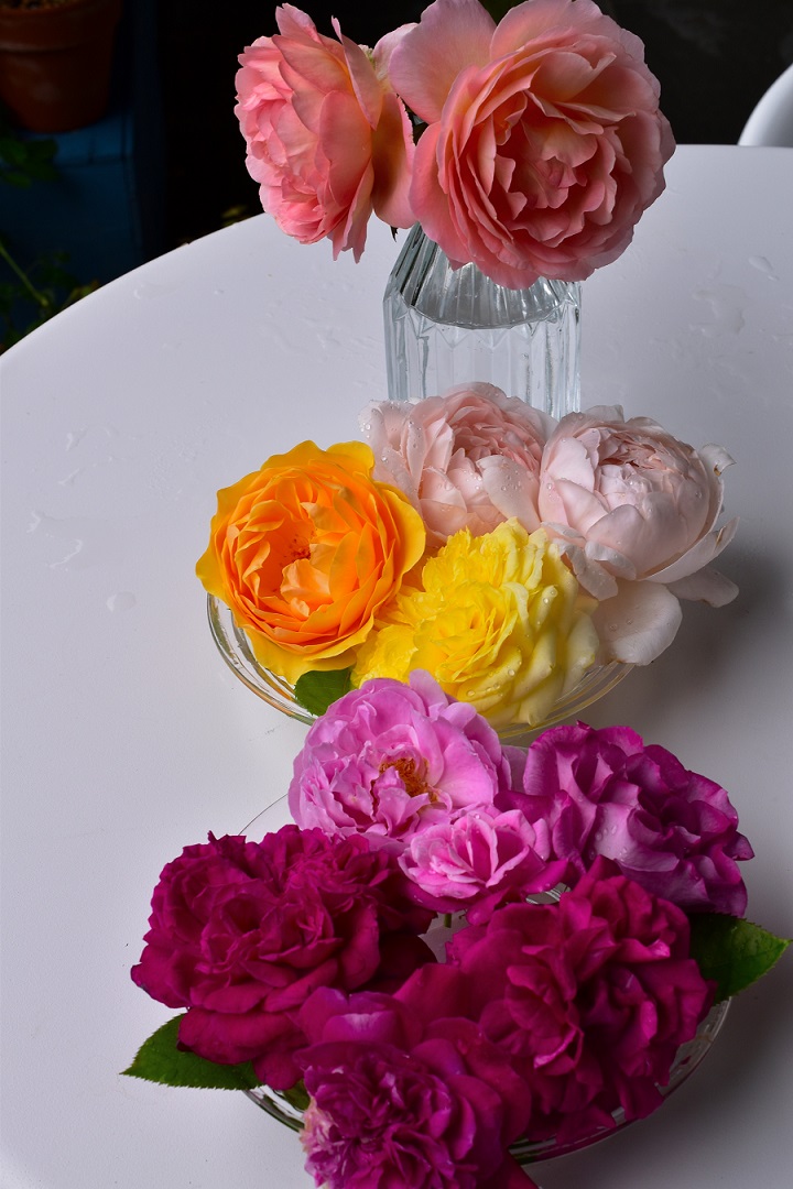 f:id:tangerinekun:20210524115626j:plain