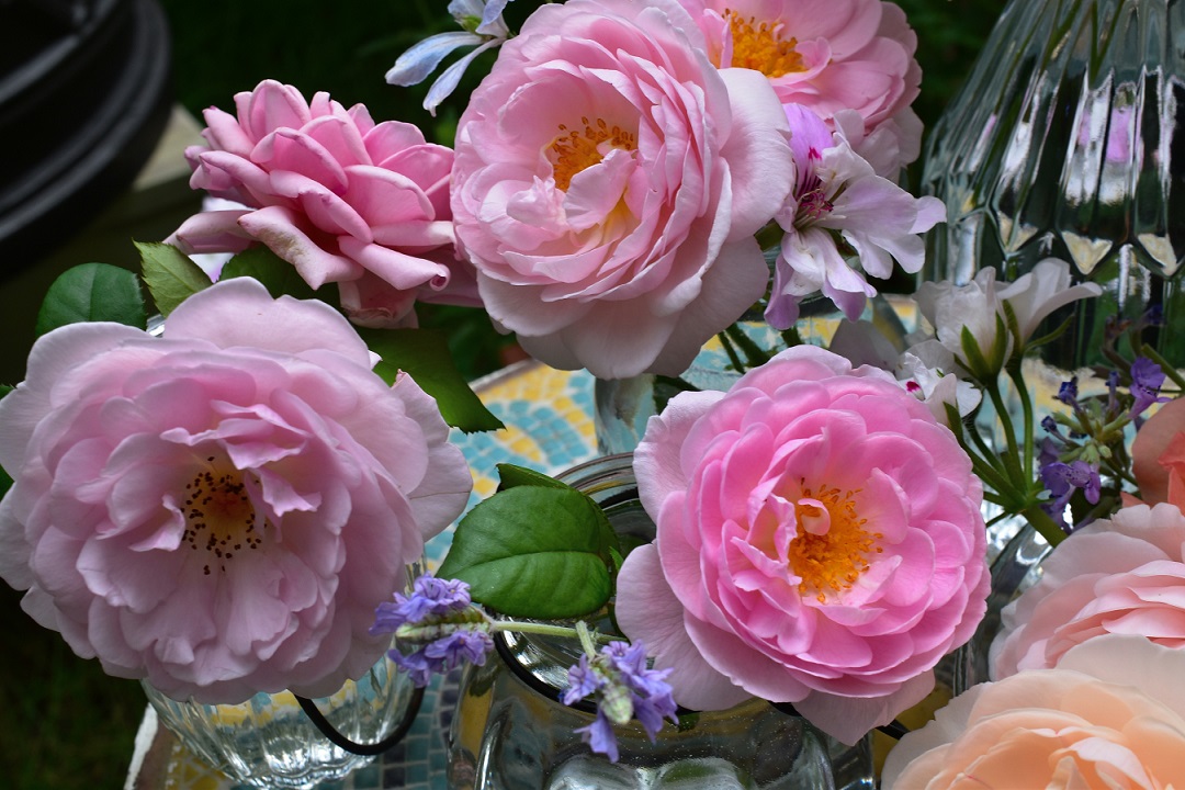 f:id:tangerinekun:20210708102333j:plain