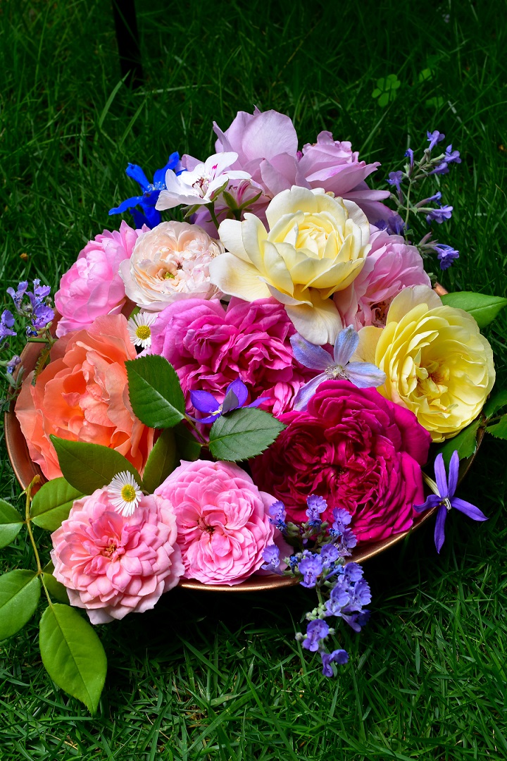 f:id:tangerinekun:20210708190614j:plain