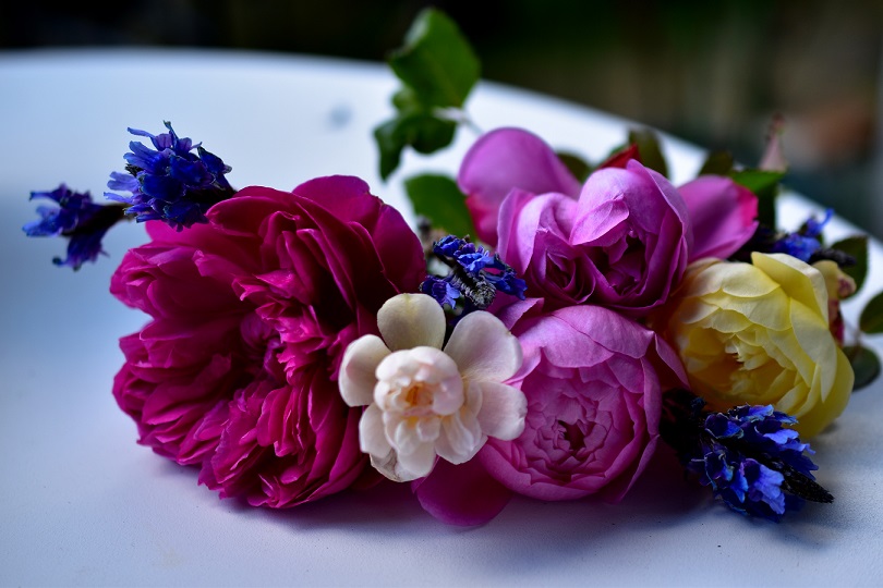 f:id:tangerinekun:20220112174652j:plain