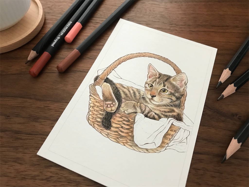 塗り絵難しい - tanglefan 芳野かえ ゼンタングル®教室
