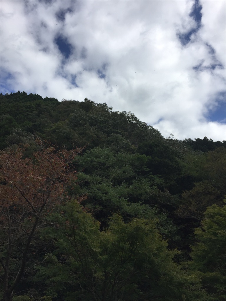 f:id:tango0206:20181015234234j:image f:id:tango0206:20181015234234j:image