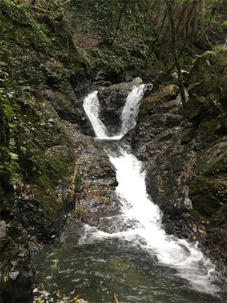 f:id:tango0206:20181015234759j:image f:id:tango0206:20181015234759j:image