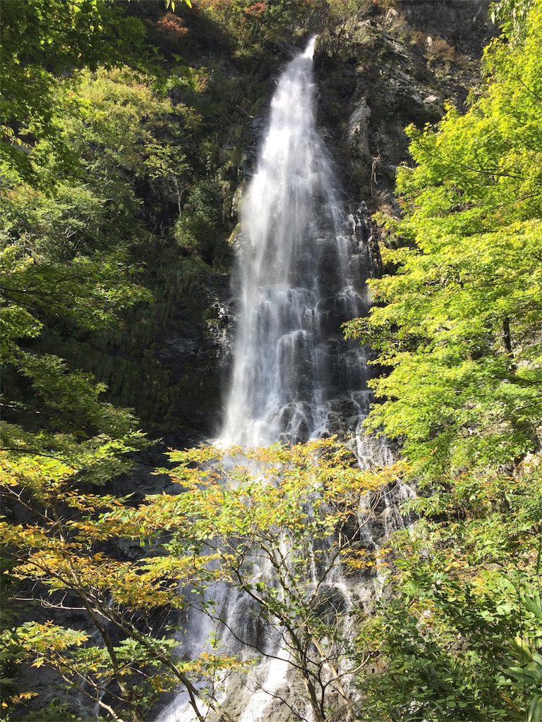 f:id:tango0206:20181015234949j:image f:id:tango0206:20181015234949j:image