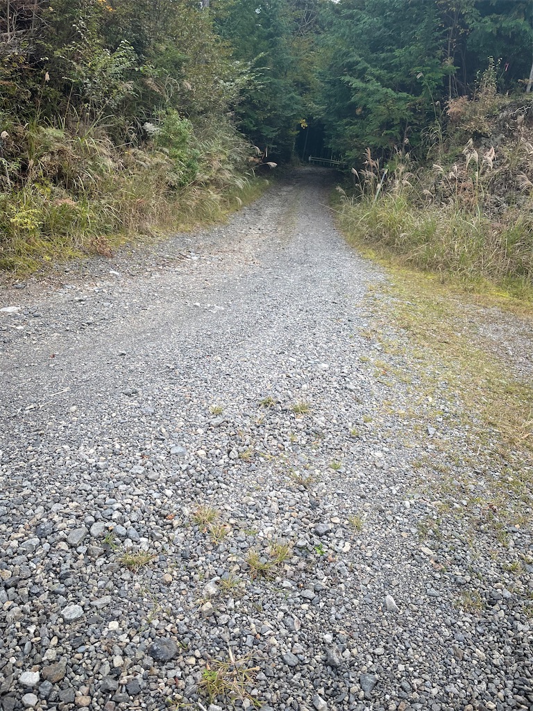 f:id:tango0206:20251124213352j:image f:id:tango0206:20251124213352j:image