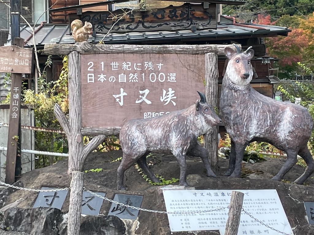 f:id:tango0206:20251124213453j:image f:id:tango0206:20251124213453j:image