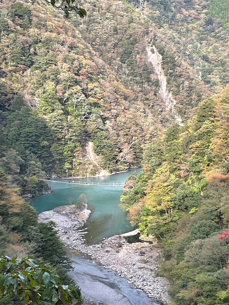 f:id:tango0206:20251124213558j:image f:id:tango0206:20251124213558j:image