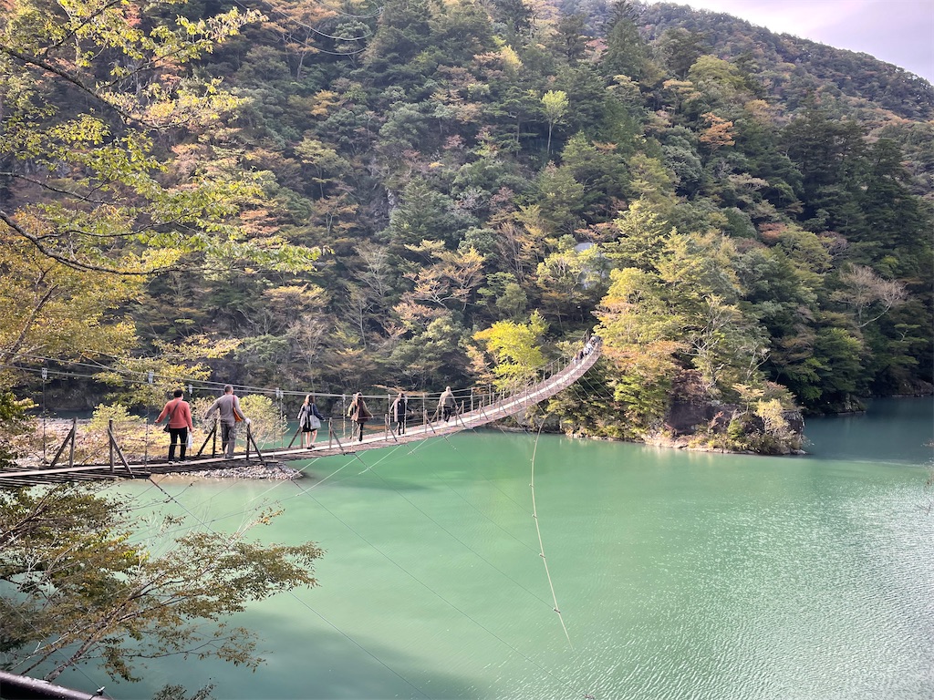 f:id:tango0206:20251124213603j:image f:id:tango0206:20251124213603j:image