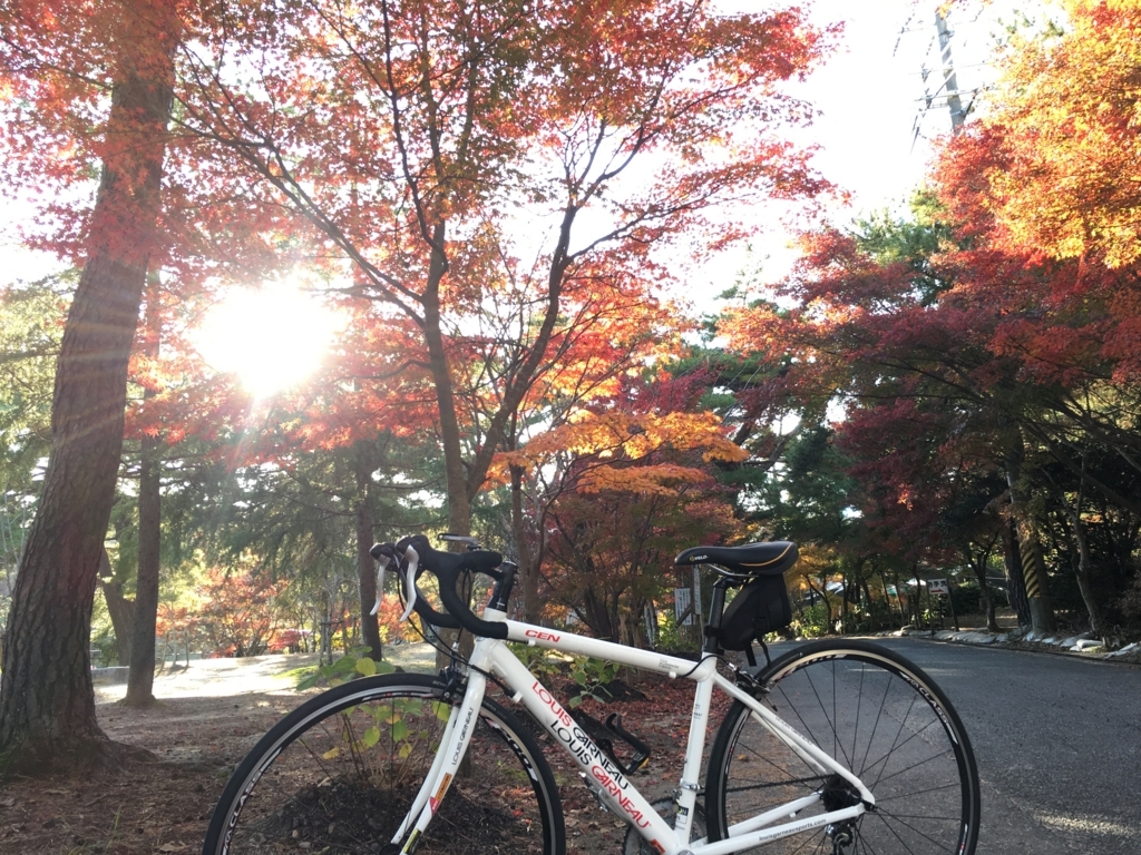 サイクリングコース 奈良県北部を起点にしたオススメのポタリングコースをまとめました すぽーつ