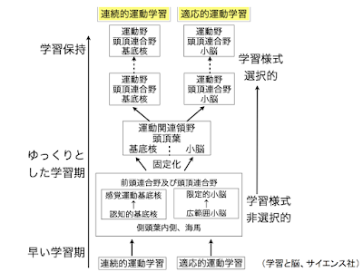 f:id:taniMAX:20200218225510p:plain f:id:taniMAX:20200218225510p:plain