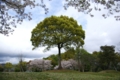 高知市丸池公園