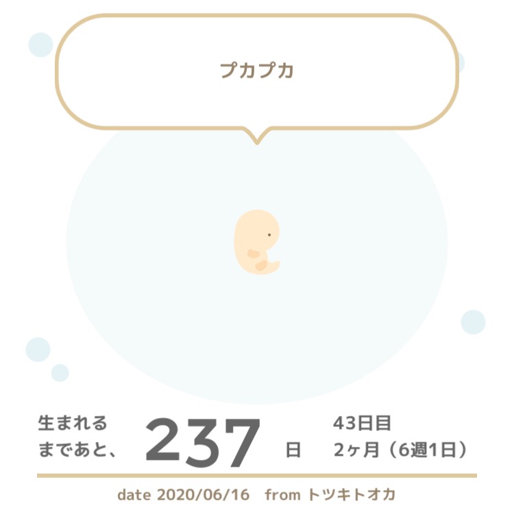 f:id:taniarikuchiari:20210202100147j:plain
