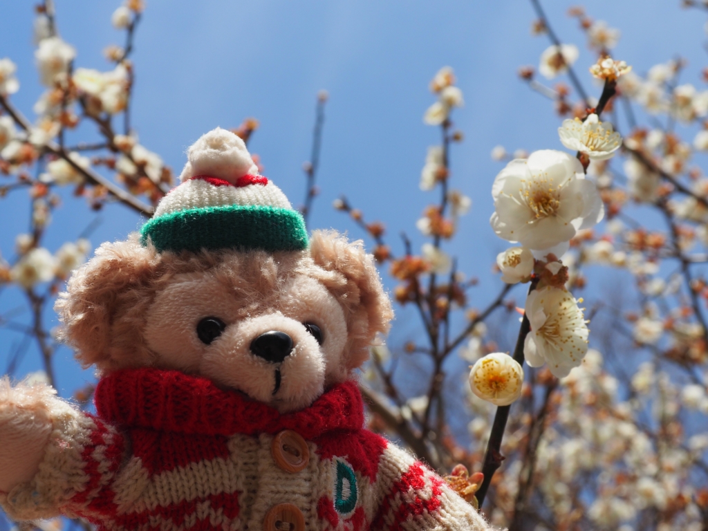 f:id:tanico:20160218120514j:plain