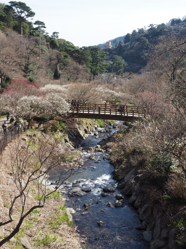 f:id:tanico:20160218122959j:plain
