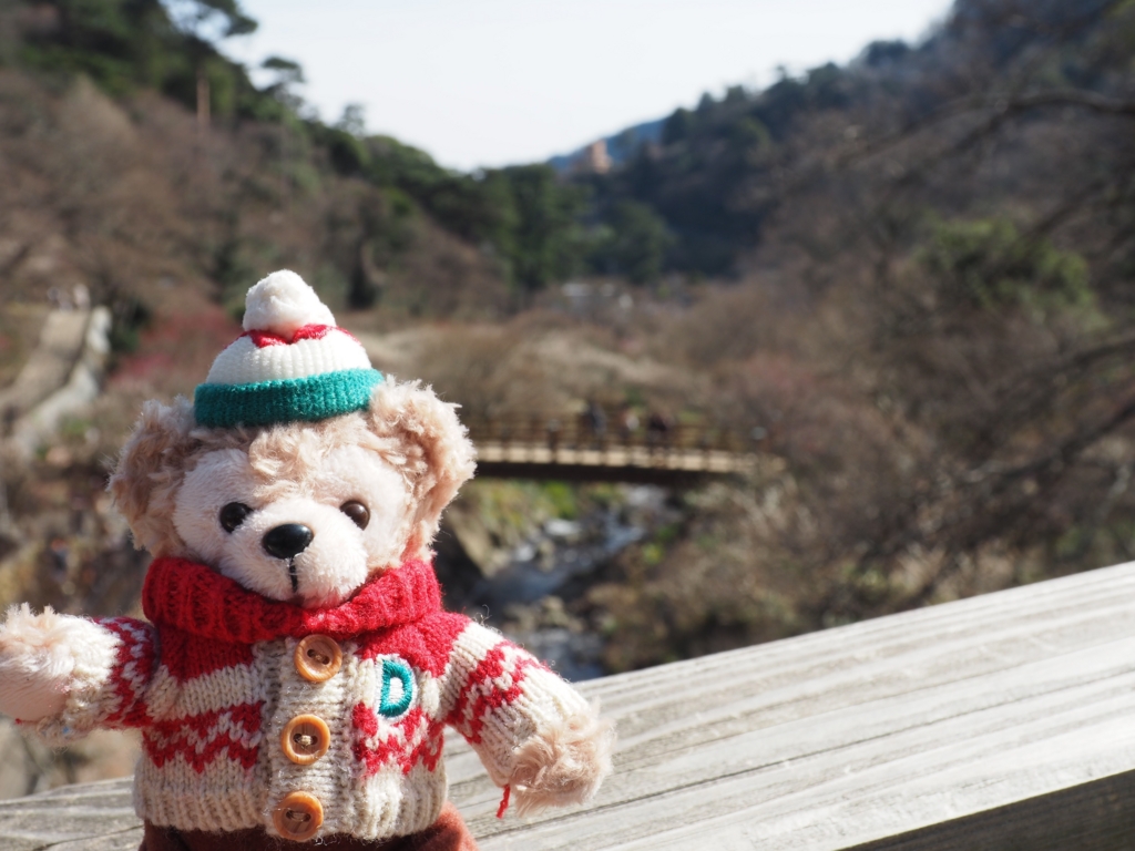 f:id:tanico:20160218123035j:plain