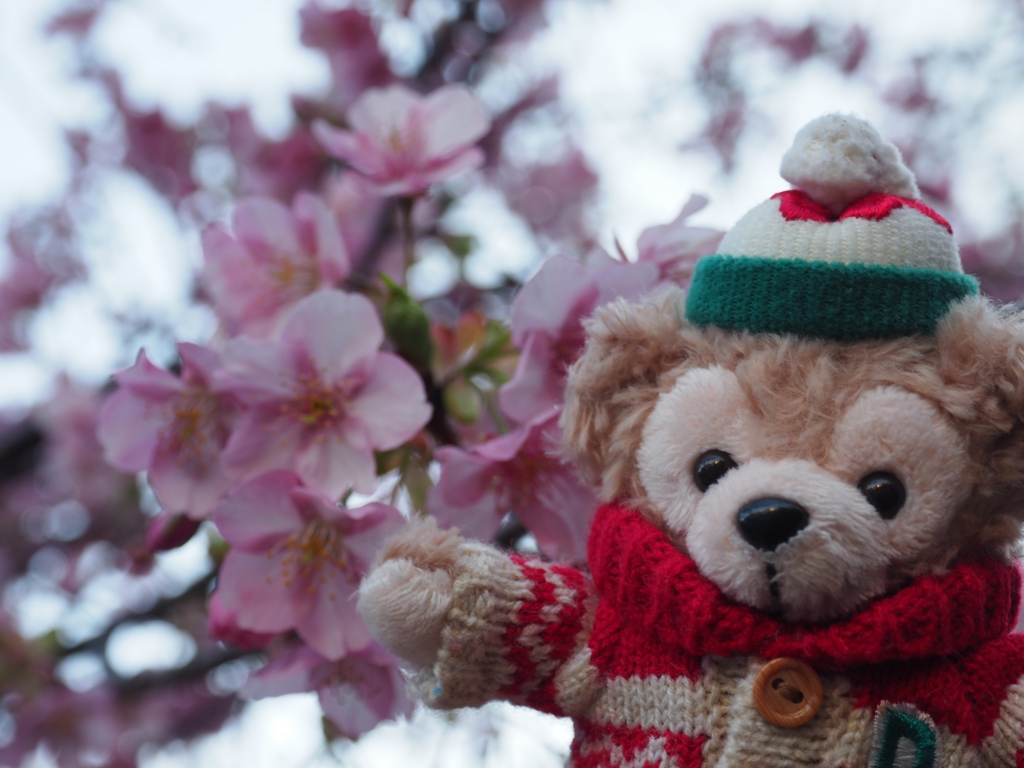 f:id:tanico:20160218155444j:plain