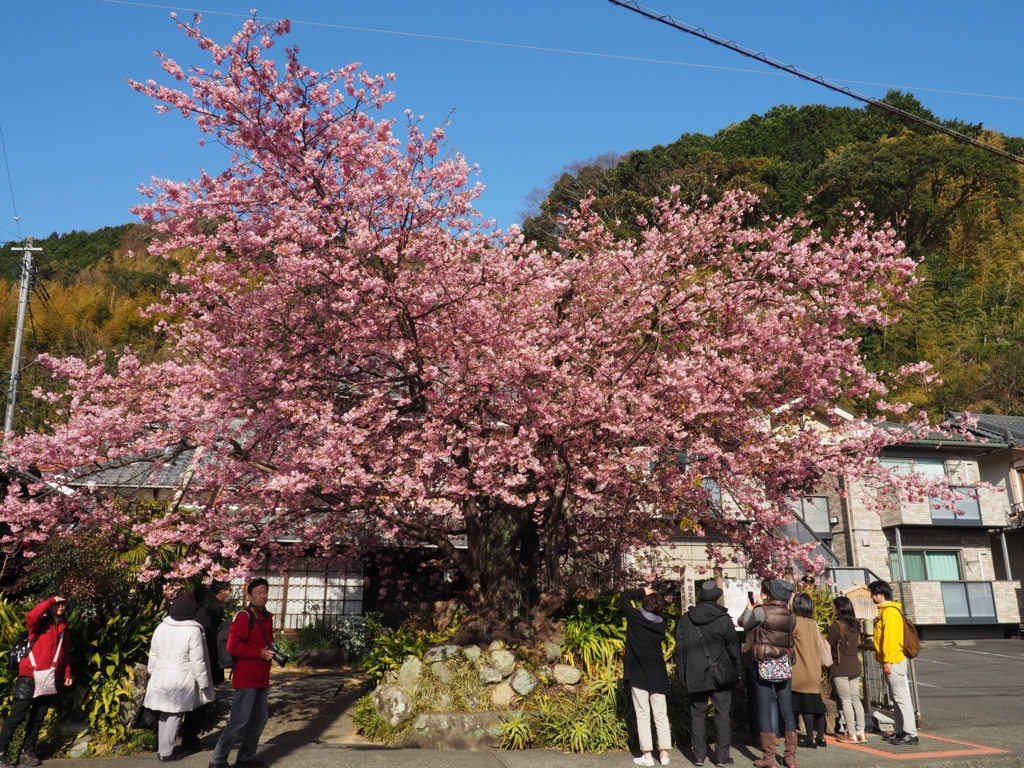 f:id:tanico:20160219144920j:plain