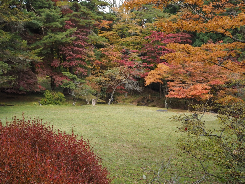 f:id:tanico:20161108113015j:plain
