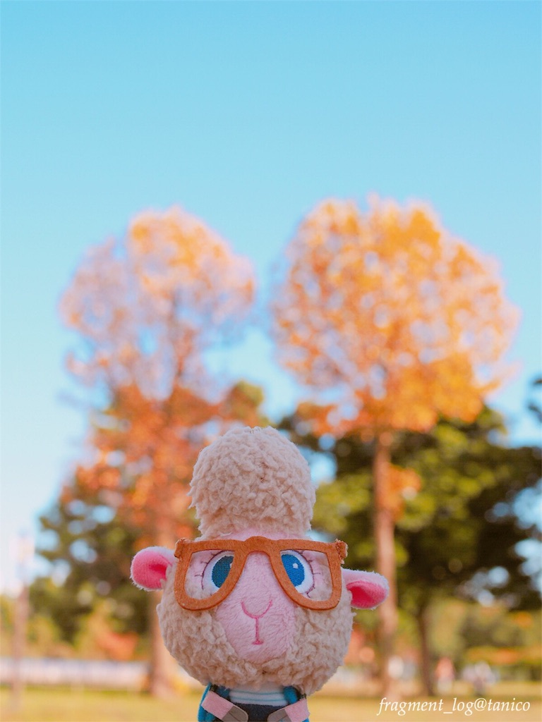 f:id:tanico:20161114012321j:image