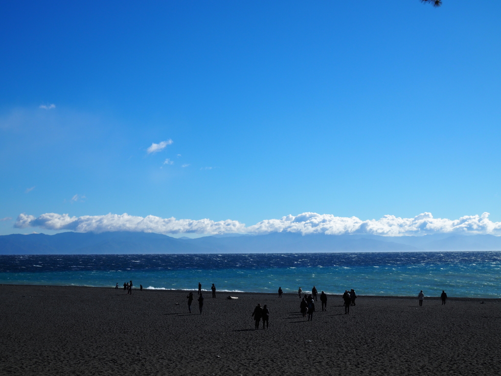 f:id:tanico:20170114101529j:plain