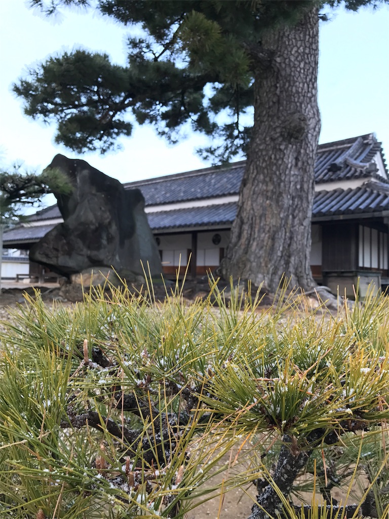 f:id:tanico:20170120132331j:image