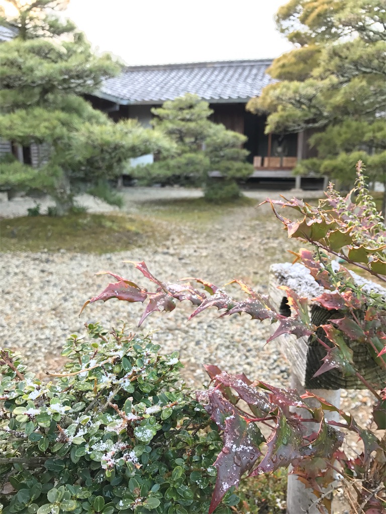 f:id:tanico:20170120132427j:image