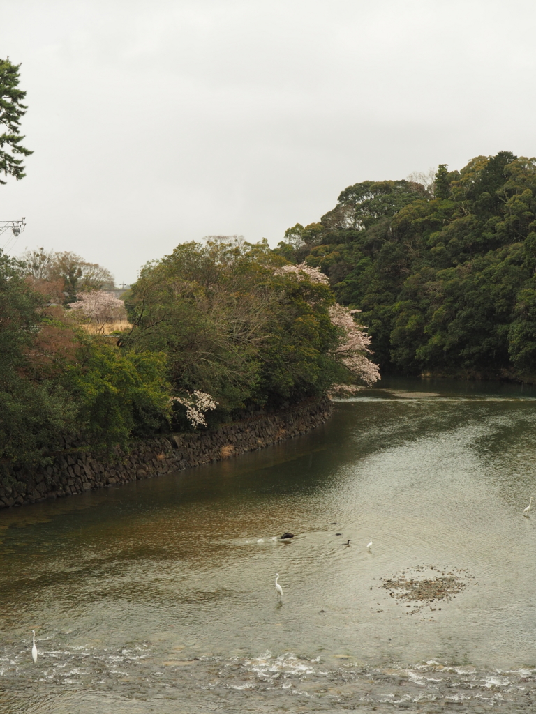 f:id:tanico:20170407080821j:plain