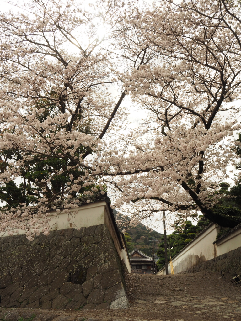 f:id:tanico:20170407144140j:plain