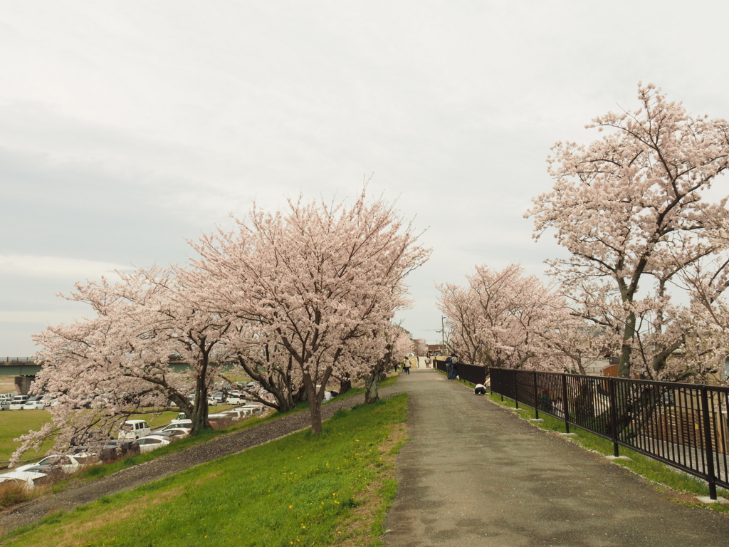 f:id:tanico:20170409123224j:plain