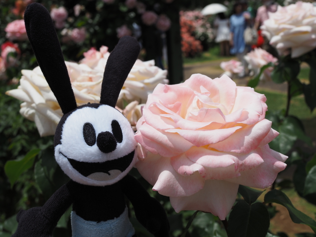 f:id:tanico:20170528113701j:plain