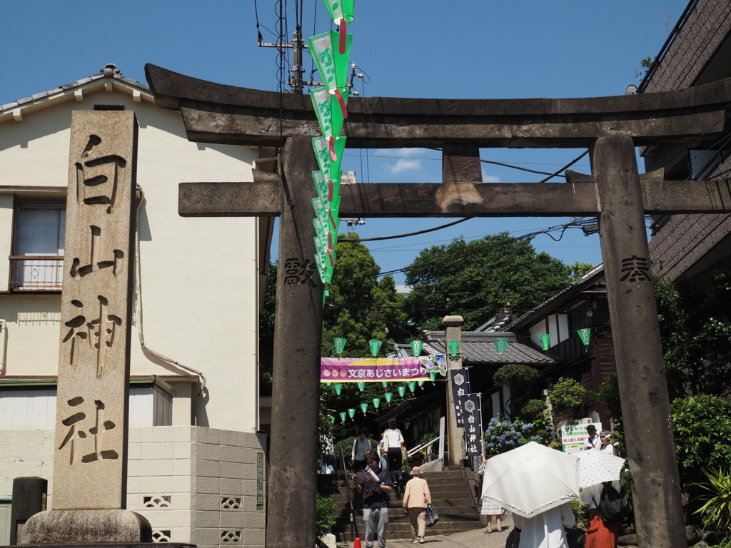 f:id:tanico:20170617093948j:plain f:id:tanico:20170617093948j:plain